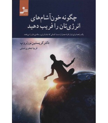 کتاب چگونه خون آشام های انرژی تان را فریب دهید