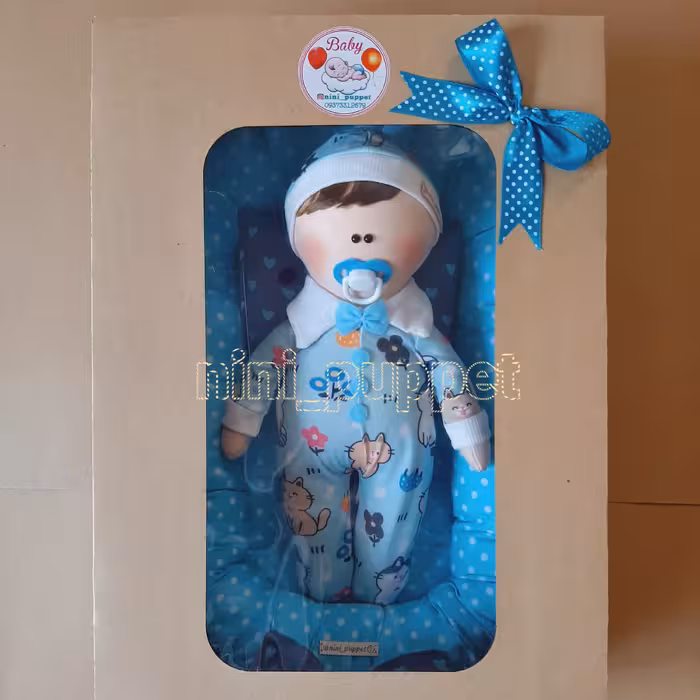 عروسک نوزاد همراه تشک و جعبه در رنگ های مختلف و جنسیت متفاوت