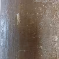 صابون معجزه سبز - بیست گیاه