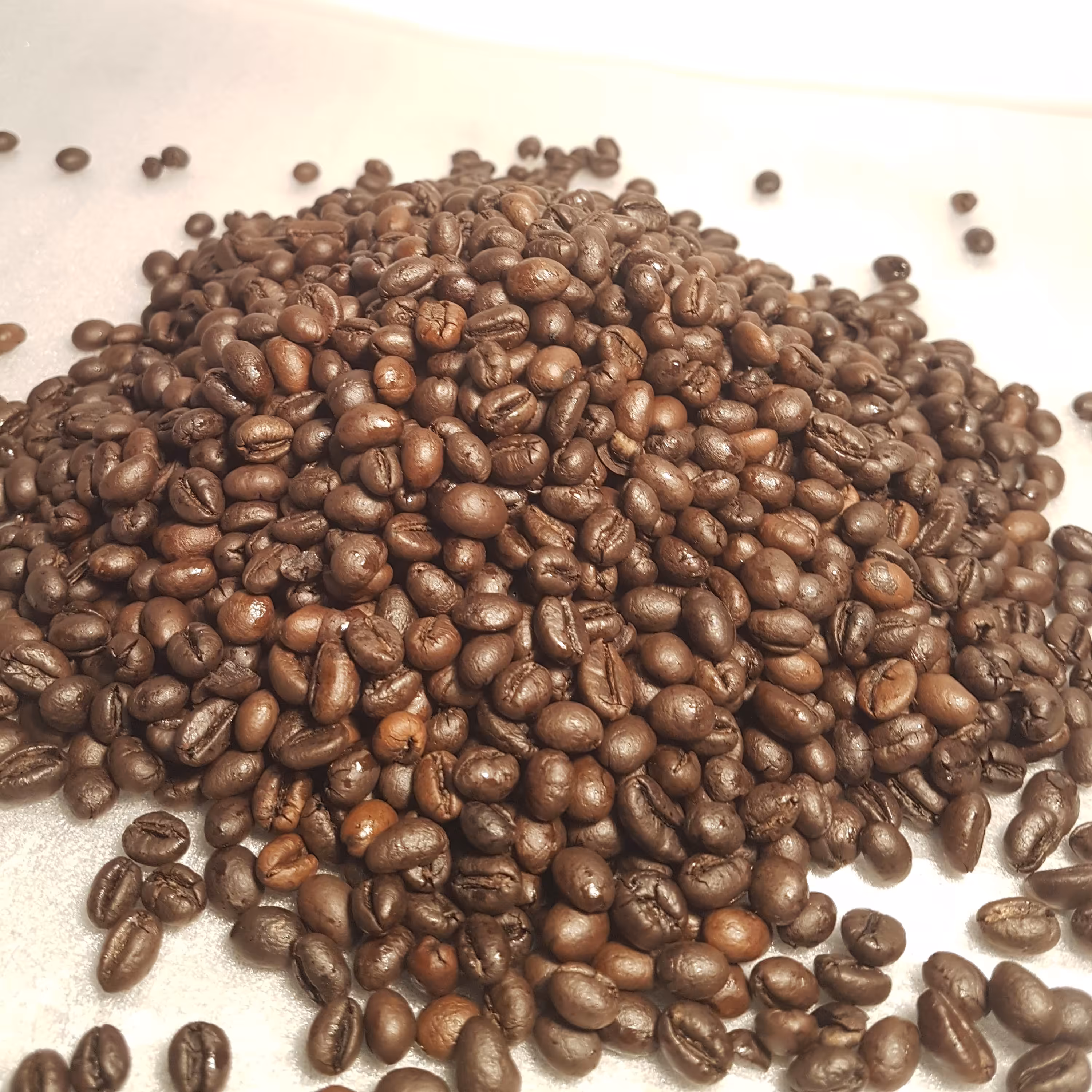 قهوه پی بیPB ربوستا با رست دارک و تیره کافئین بالا عطر و طعم عالی محصول شرکتی گریدAA اسکرین 20 بصورت فله 1کیلوگرم