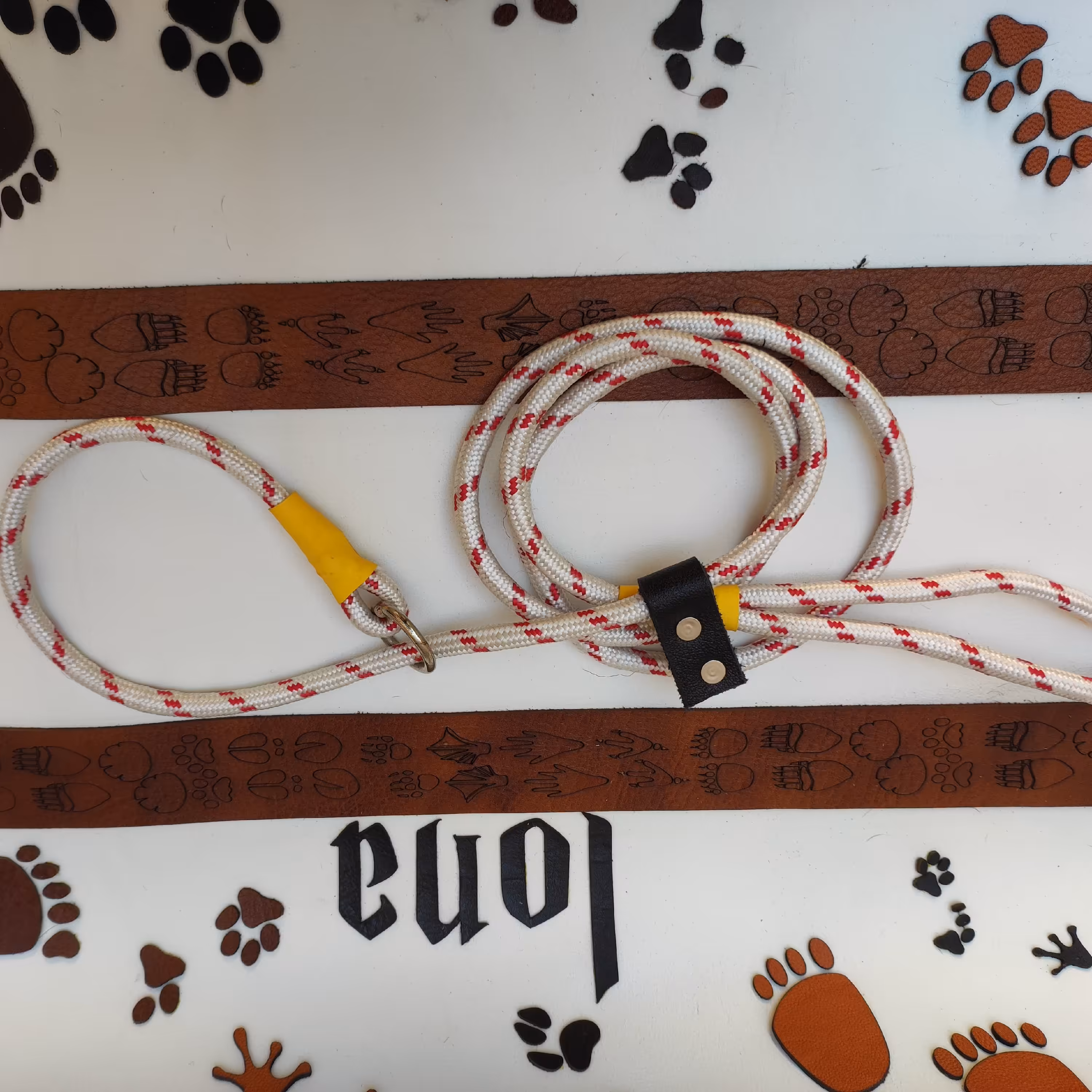 قلاده آموزشی مربی