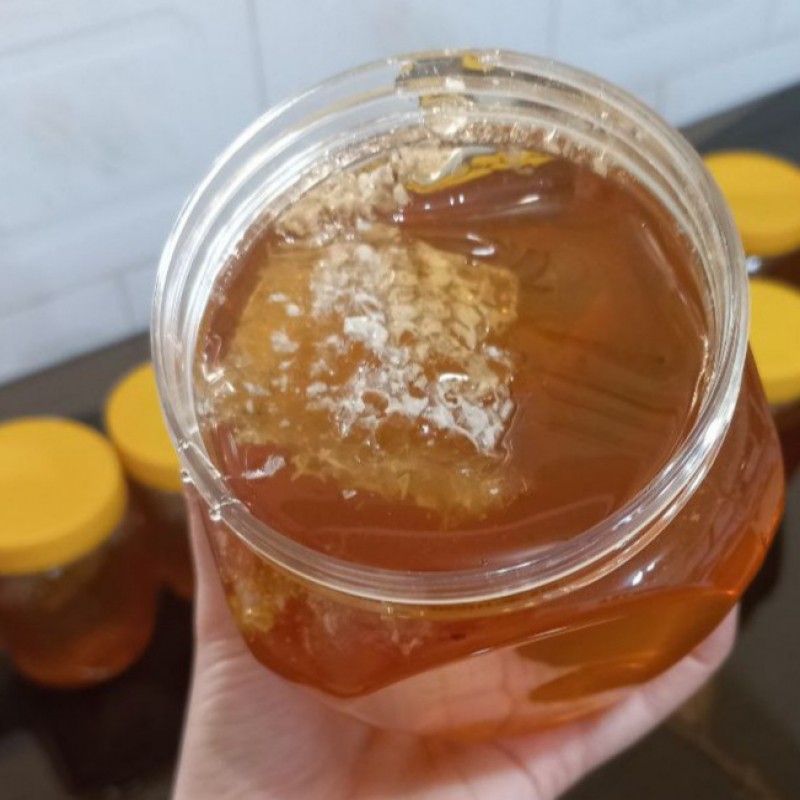 عسل گشنیز کاملا طبیعی(بدون واسطه)  (1کیلوگرم)