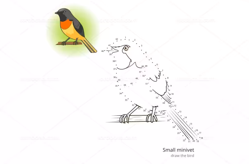 وکتور نقاشی نقطه ای پرنده زیبا | گرافیک با طعم تربچه