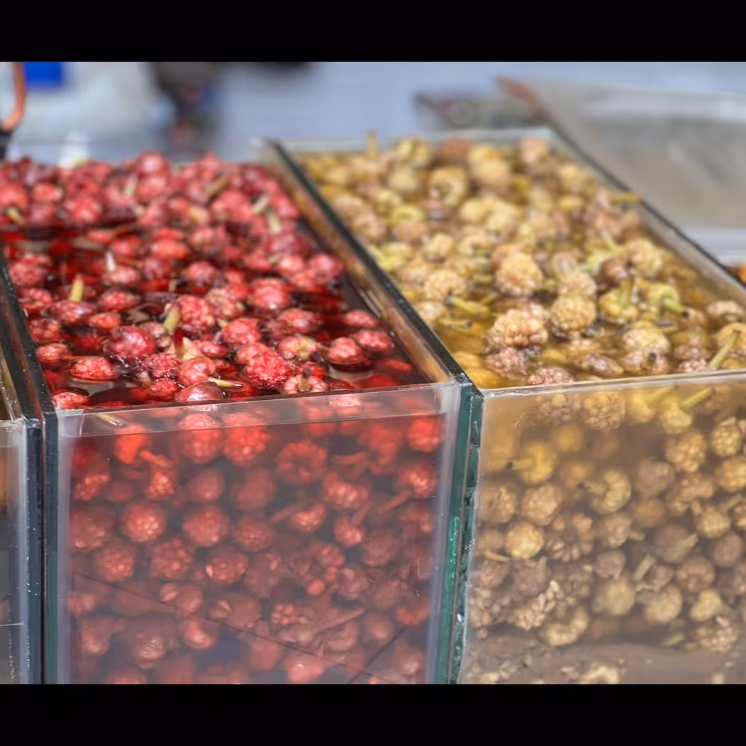 سیر ترشی گل(1کیلوگرم)