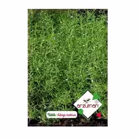 بذر مرزه آرزومان ترکیه  پاکت اورجینال 