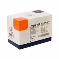 کیت HCG (Rapid) 96 Tests پیشتاز طب(10284032)
