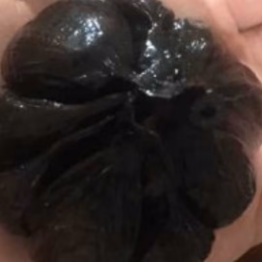 ترشی سیر سیاه