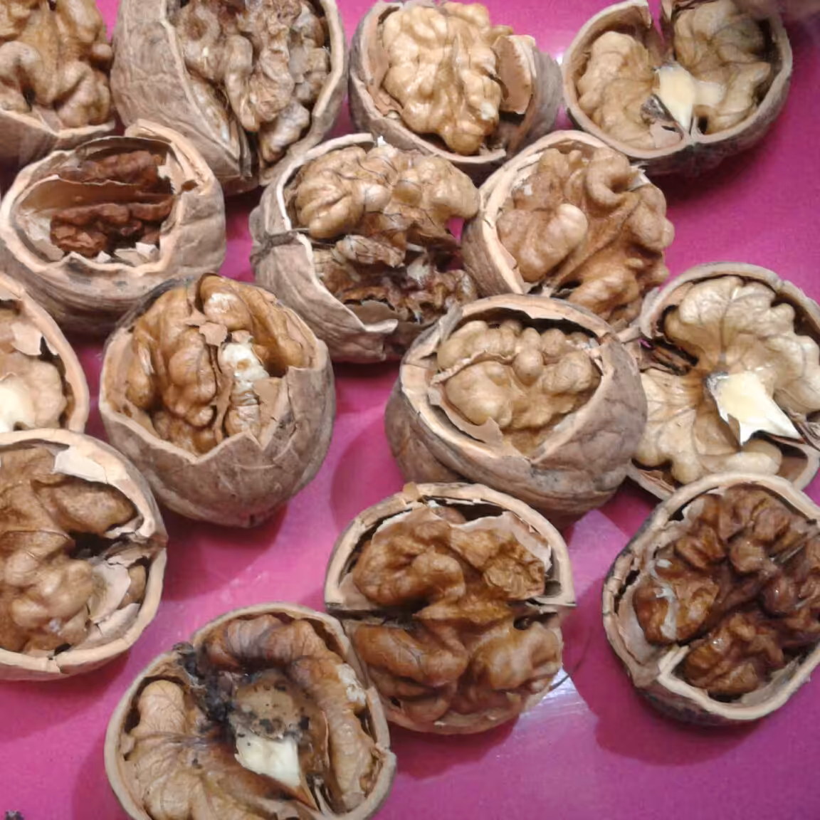 گردوی اصل ایرانی 1 کیلویی