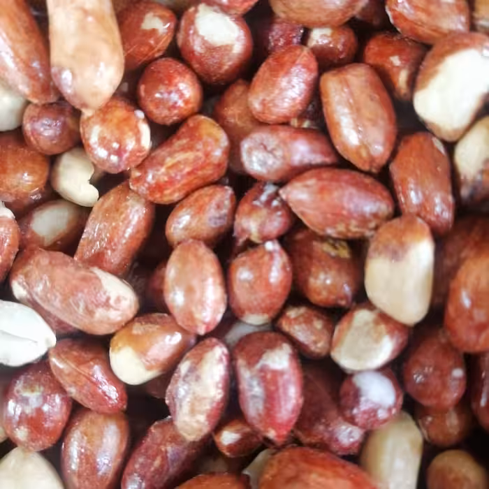 بادام زمینی لعابی (بسته های نیم کیلویی ویک کیلویی) آجیل امیر 