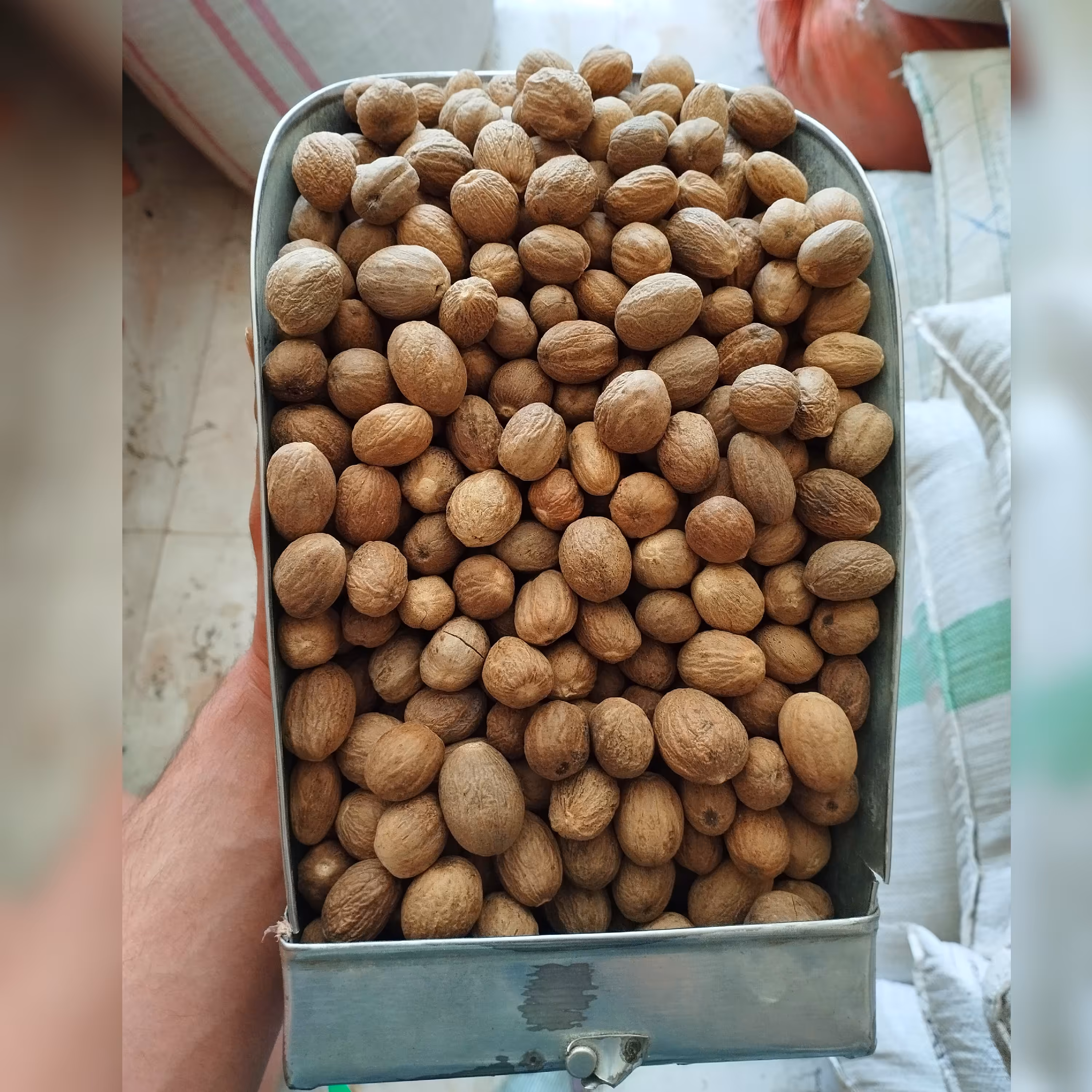 جوز هندی (75گرم)