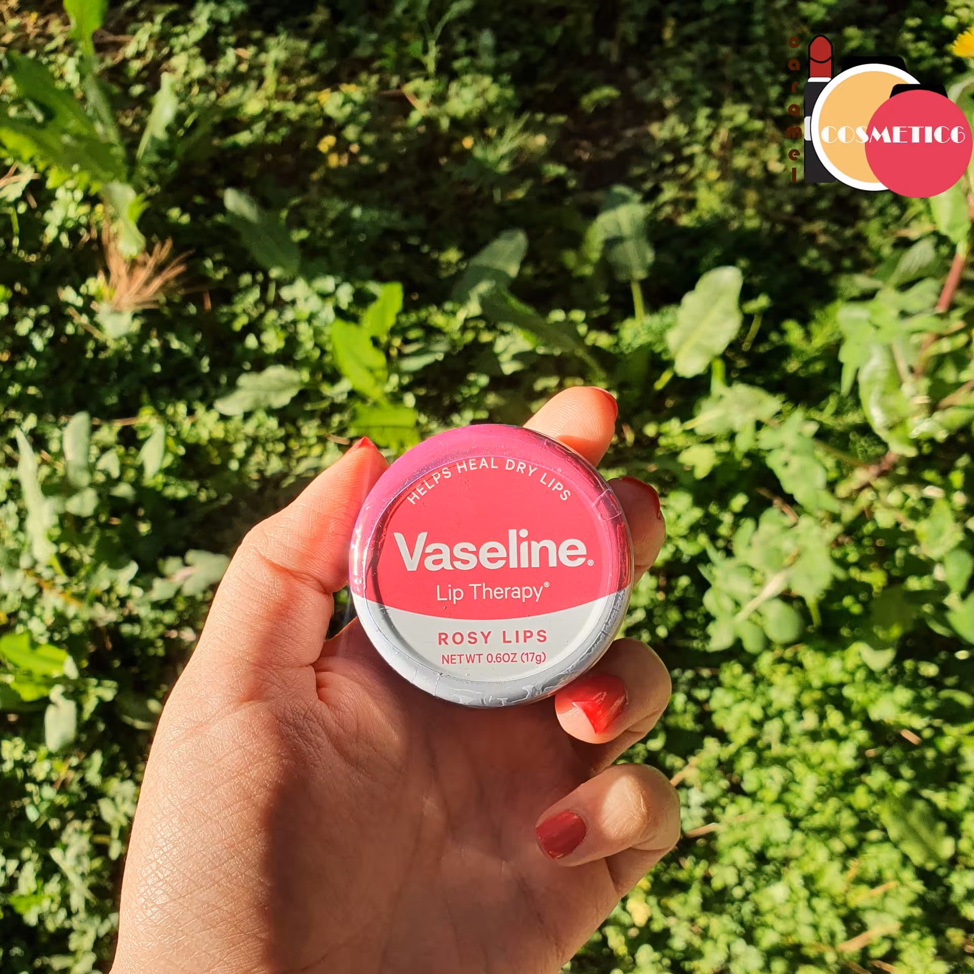 بالم لب گل رز وازلین 