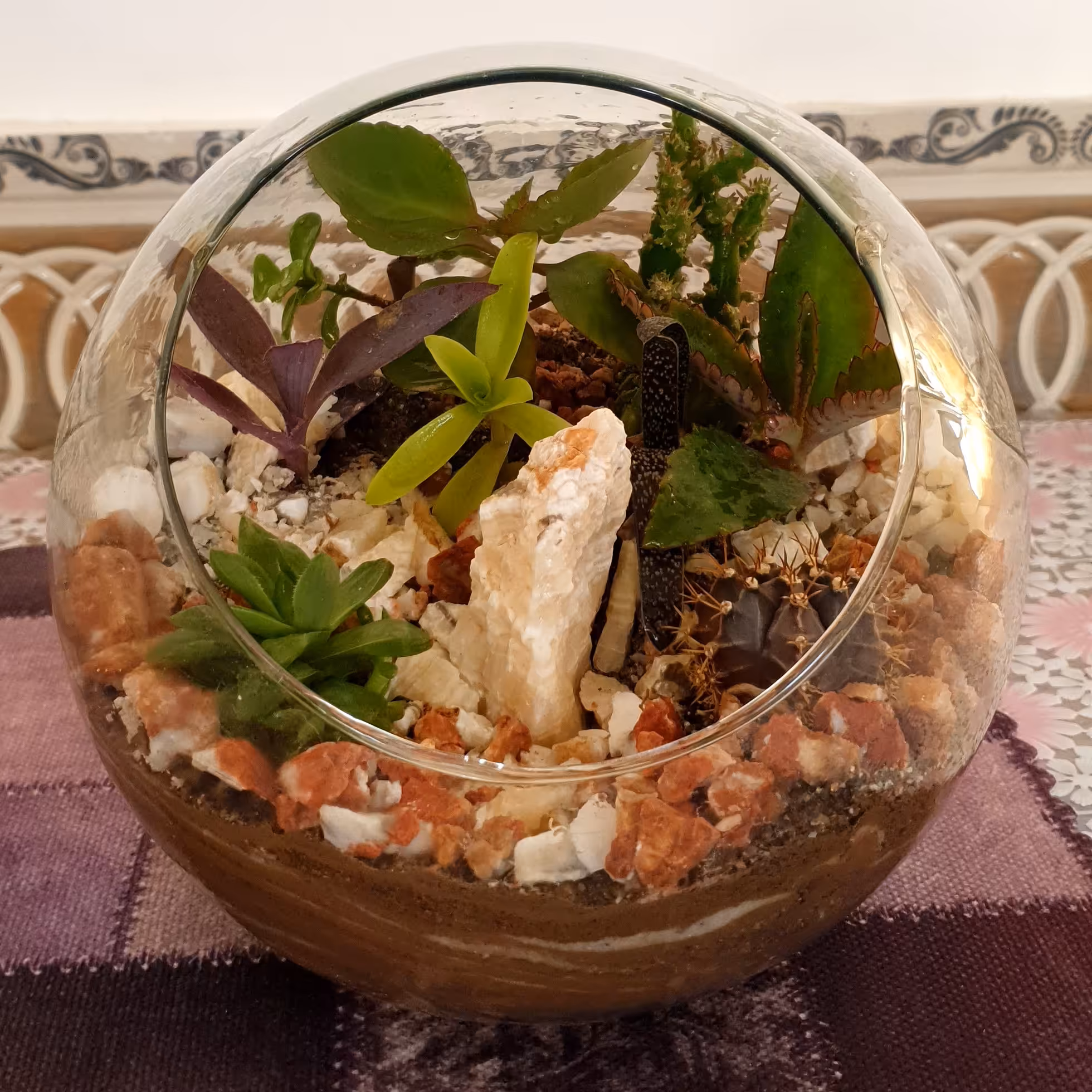 تراریوم یا باغ شیشه ای مدل a01