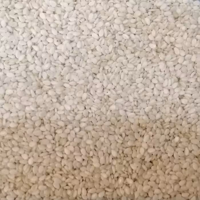 کنجد سفید خارجی (کیفیت عااالی) وزن 100 گرم