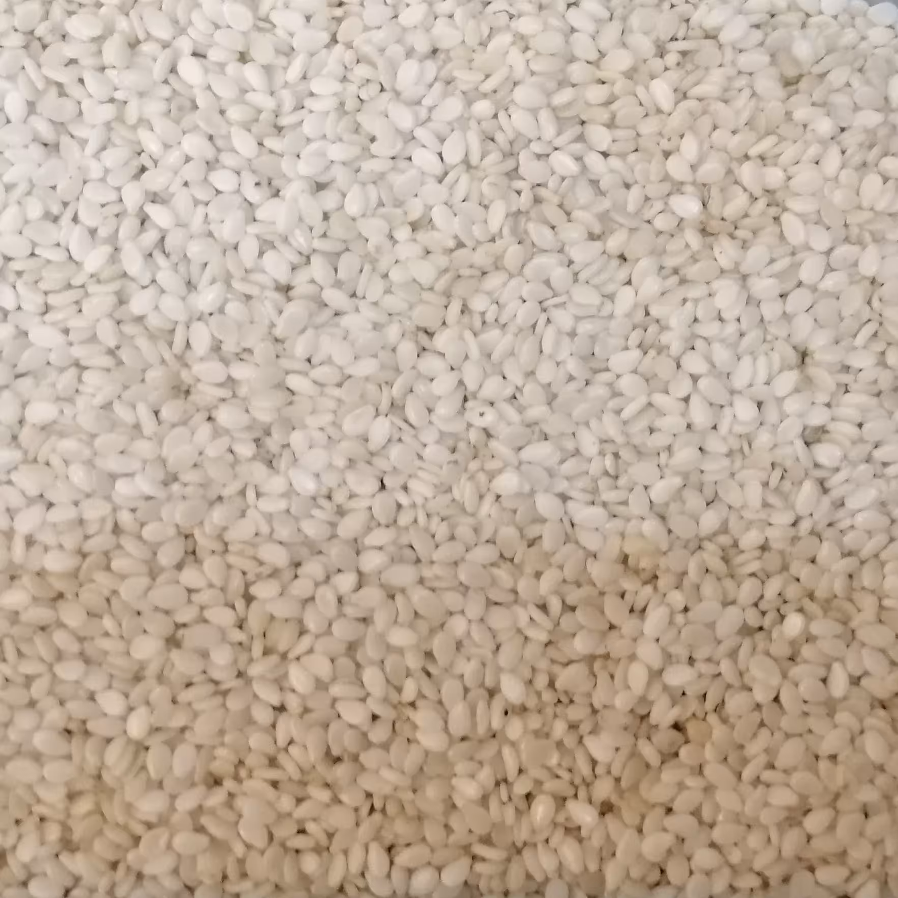 کنجد سفید خارجی (کیفیت عااالی) وزن 100 گرم