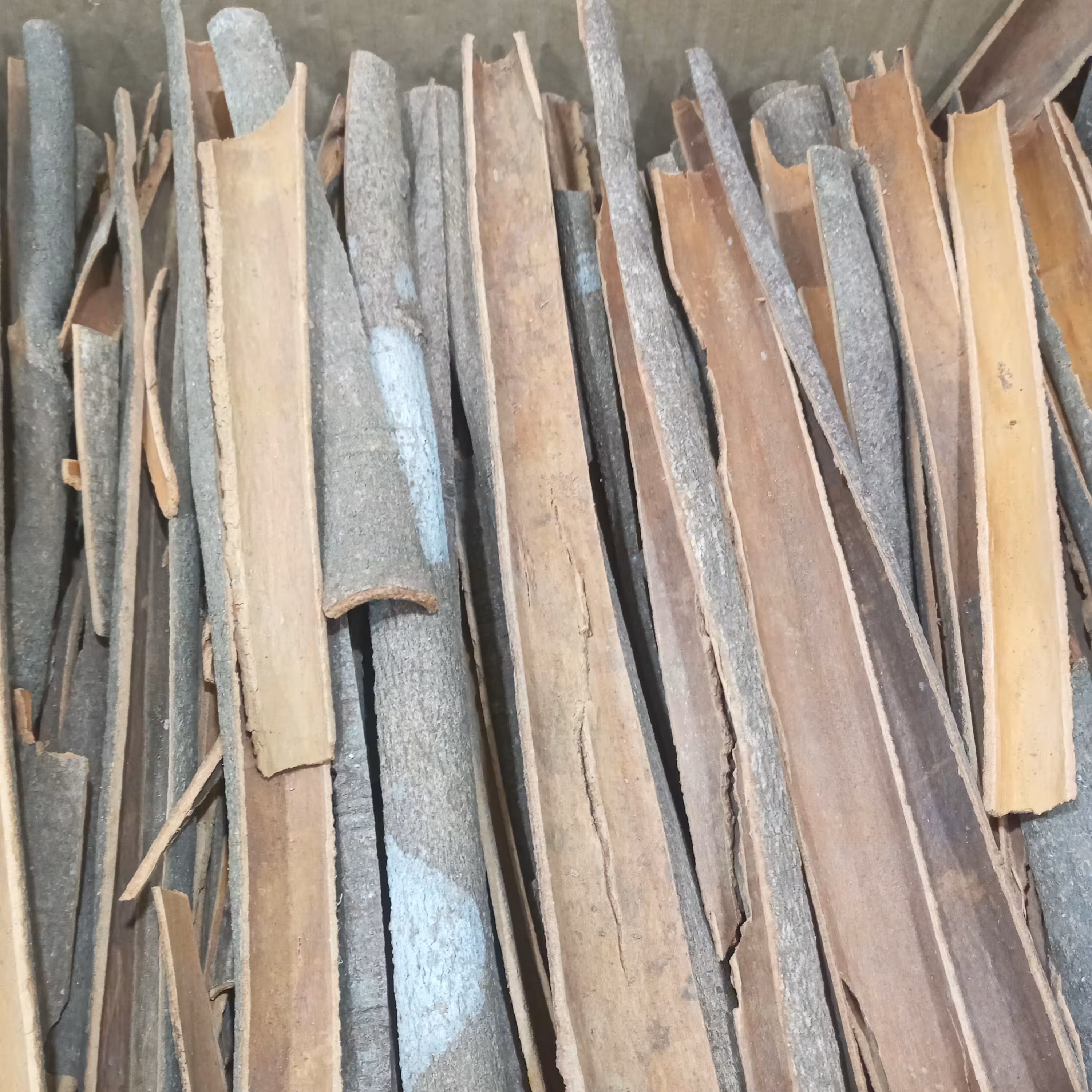 چوب دارچین هندی و اصل در بسته 200 گرمی