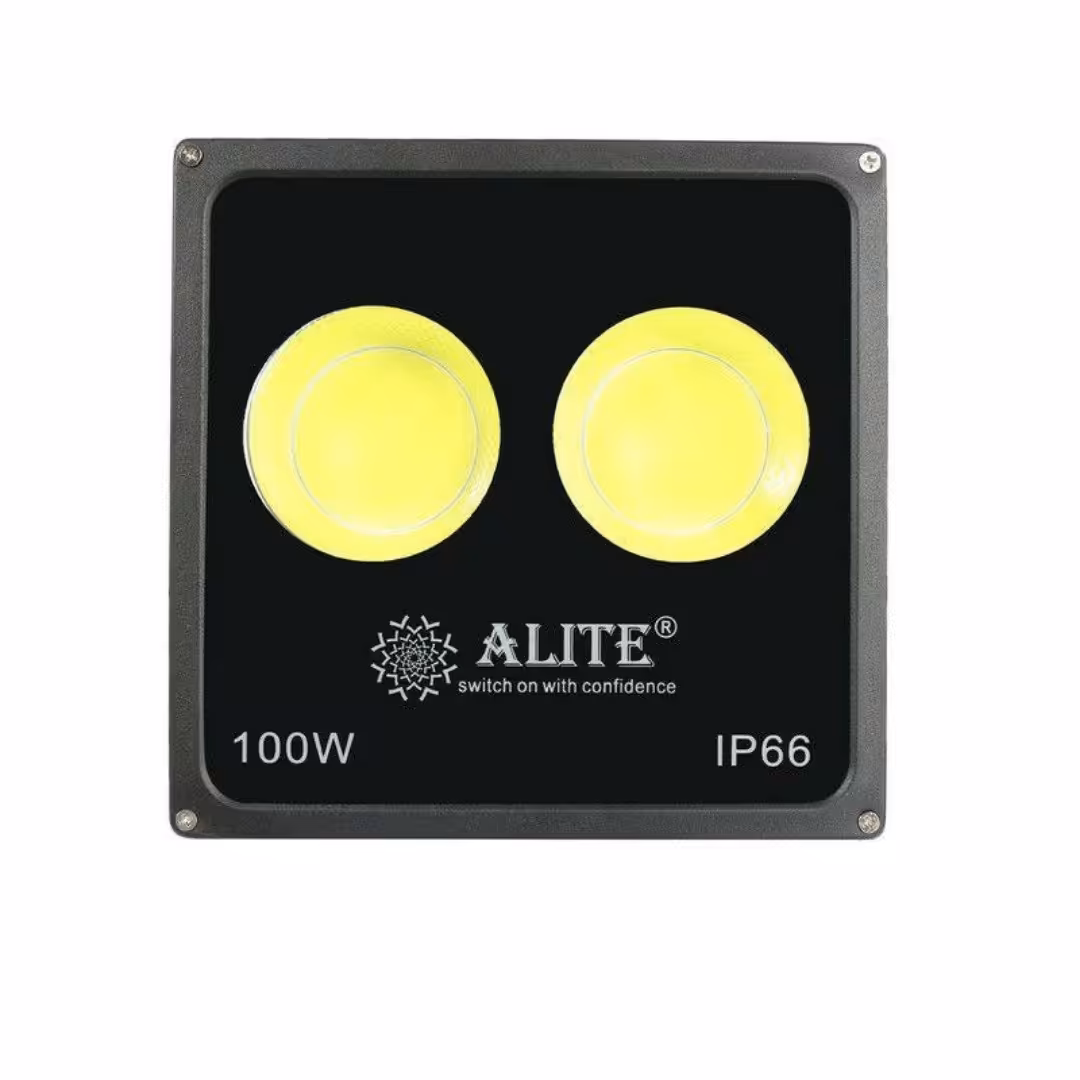 پروژکتور 100 وات الیت نور عالی