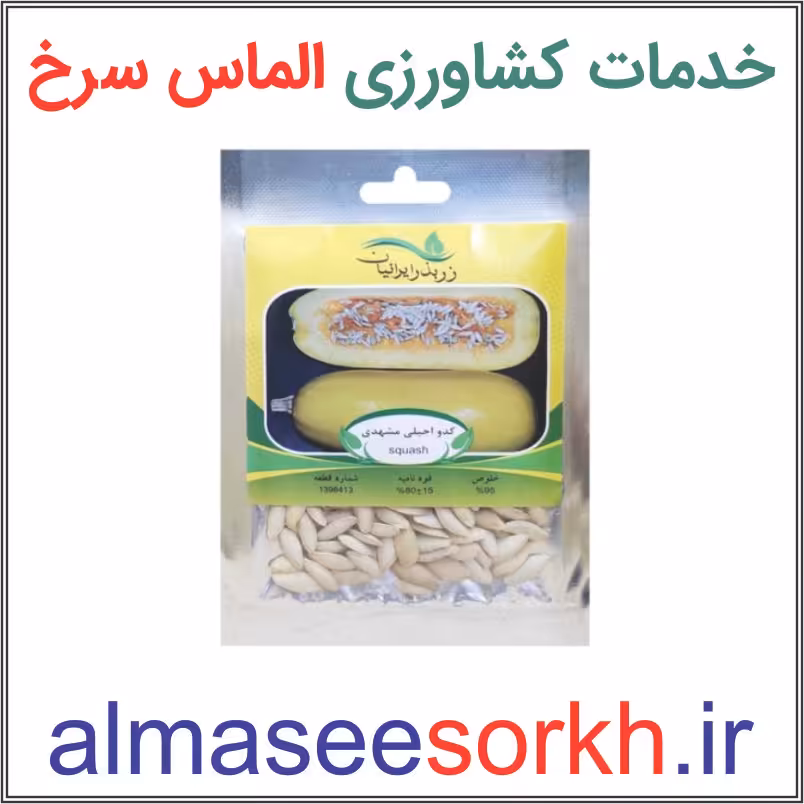 بذر کدو آجیلی مشهدی زر بذر ایرانیان | گیاه پزشکی الماس سرخ