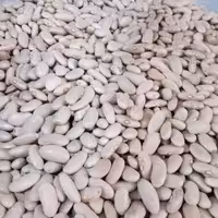 لوبیا کشاورزی یا پاچ باقلا (لوبیا رشتی ) پوست گرفته مخصوص باقلاقاتوق300 گرمی