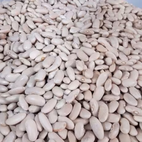 لوبیا کشاورزی یا پاچ باقلا (لوبیا رشتی ) پوست گرفته مخصوص باقلاقاتوق300 گرمی