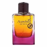 Acanthus Lady Moor