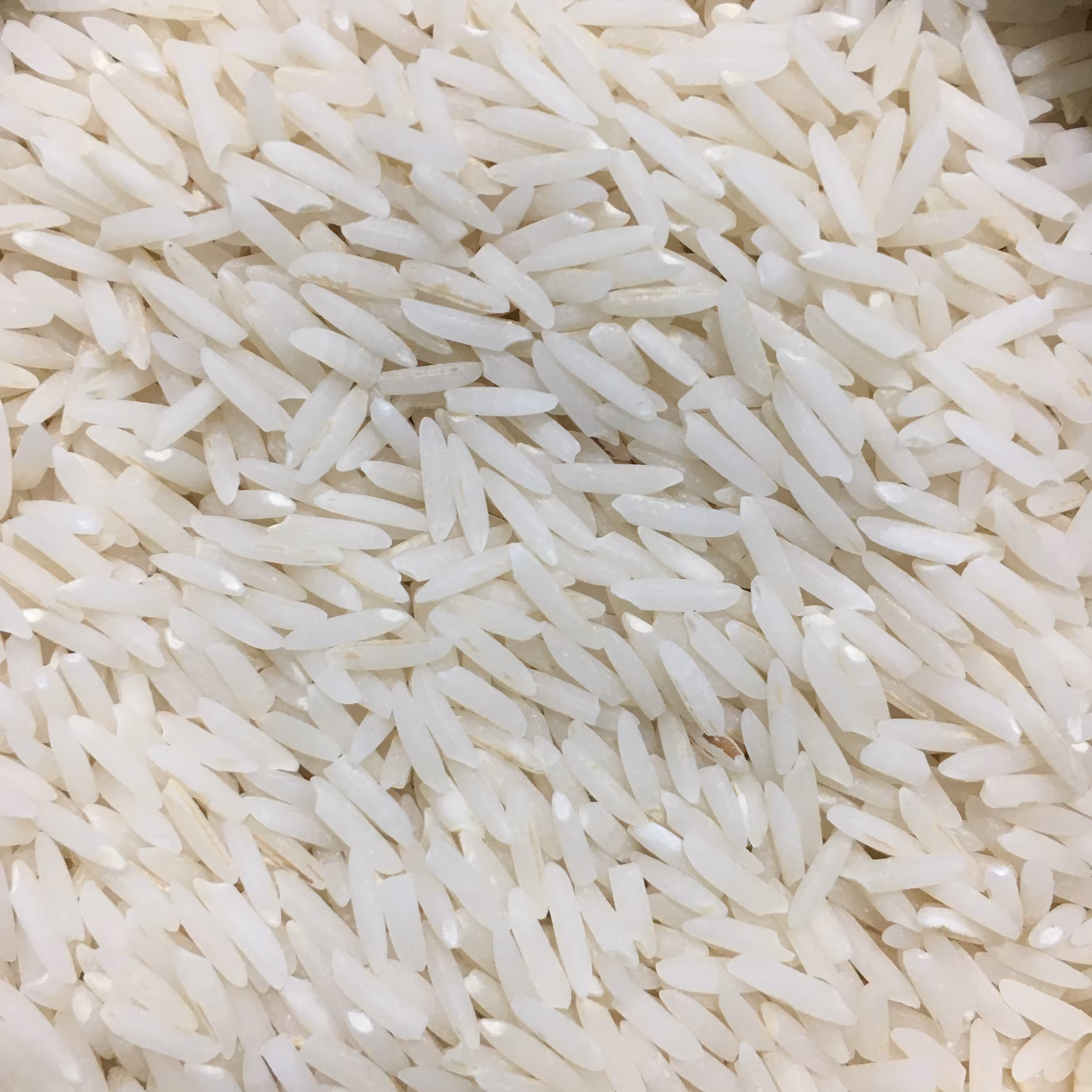 برنج دم سیاه درجه 1 گیلان