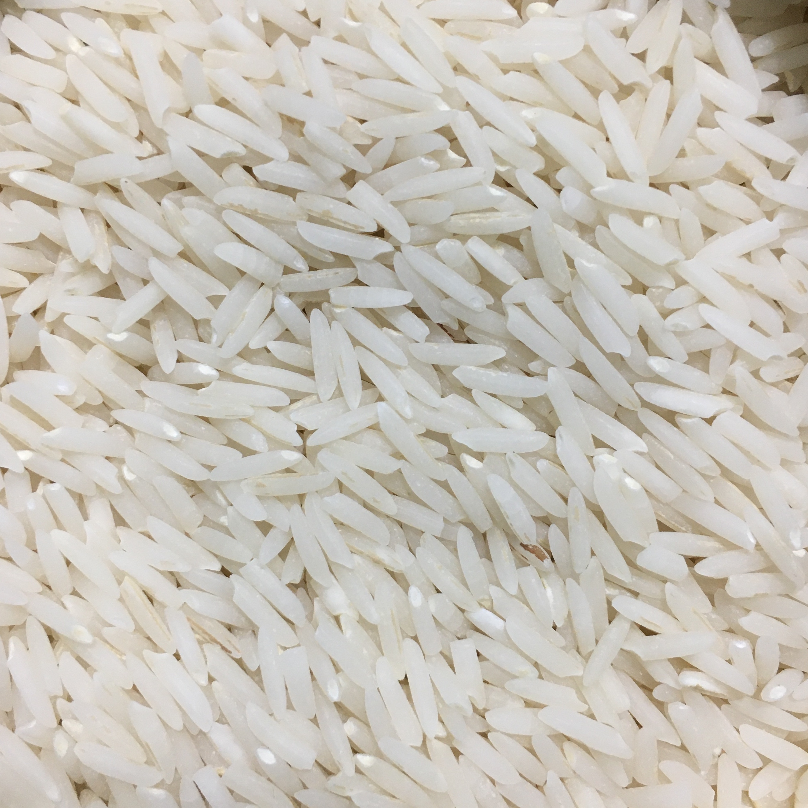 برنج دم سیاه درجه 1 گیلان