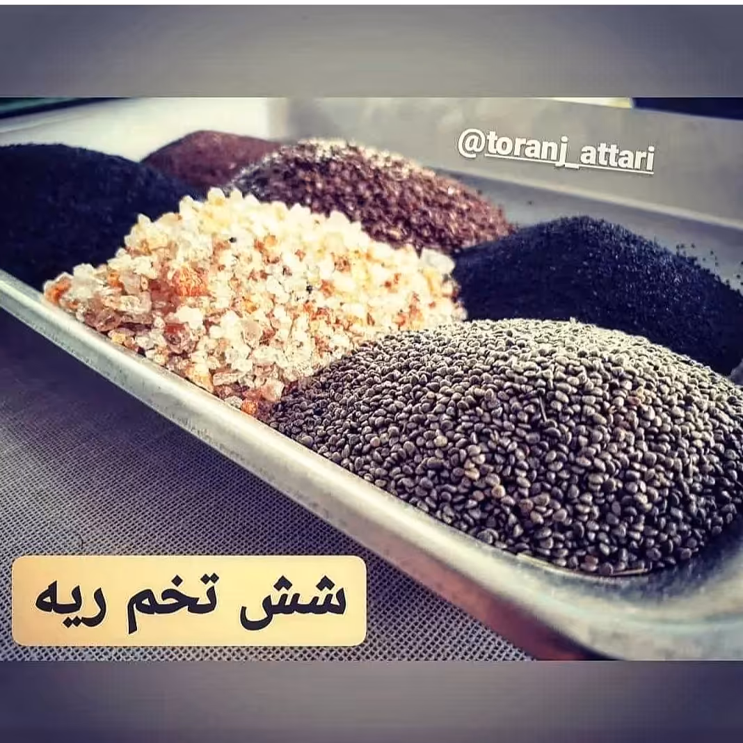 شش تخم ریه چهار تخم ریه ترنج
