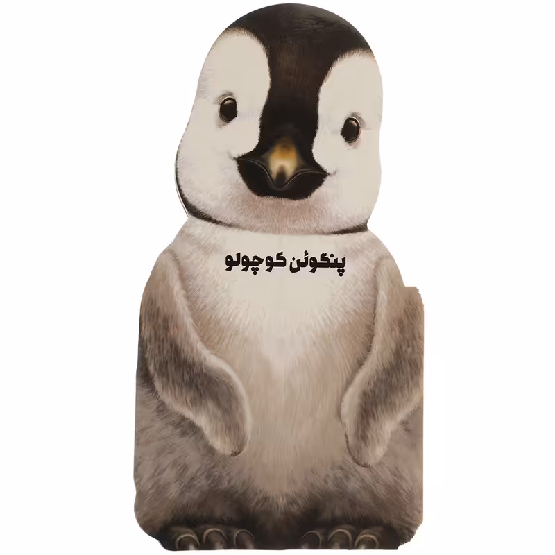 کتاب داستان زندگی پنگوئن‌ کوچولو اثر جیووانی کاویزل