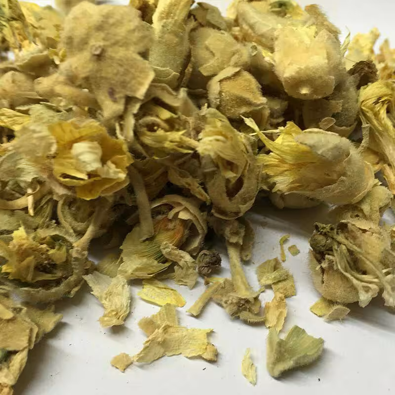 گیاه ختمی (سبک زندگی و طب اسلامی شیعی)