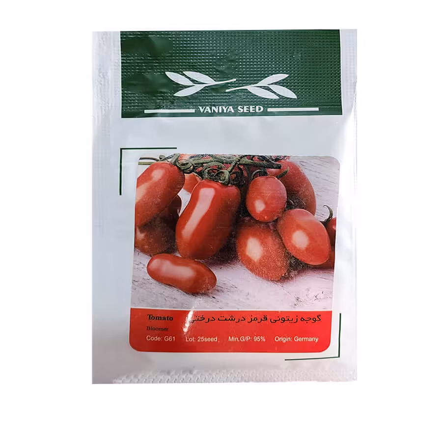 بذر گوجه زیتونی قرمز درشت درختی