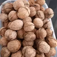 گردوی پوست کاغذی وسفید3000گرمی