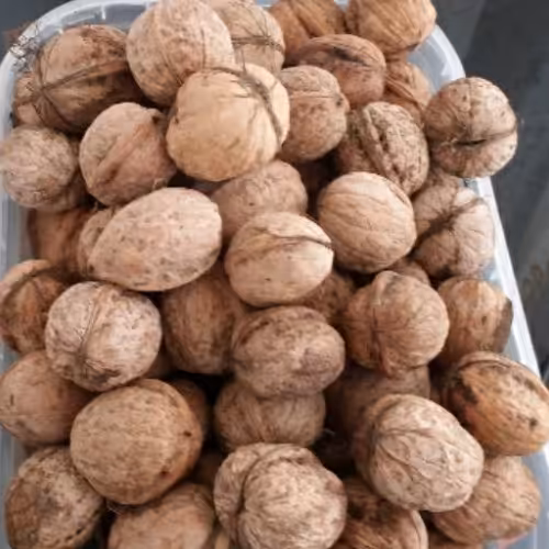 گردوی پوست کاغذی وسفید3000گرمی