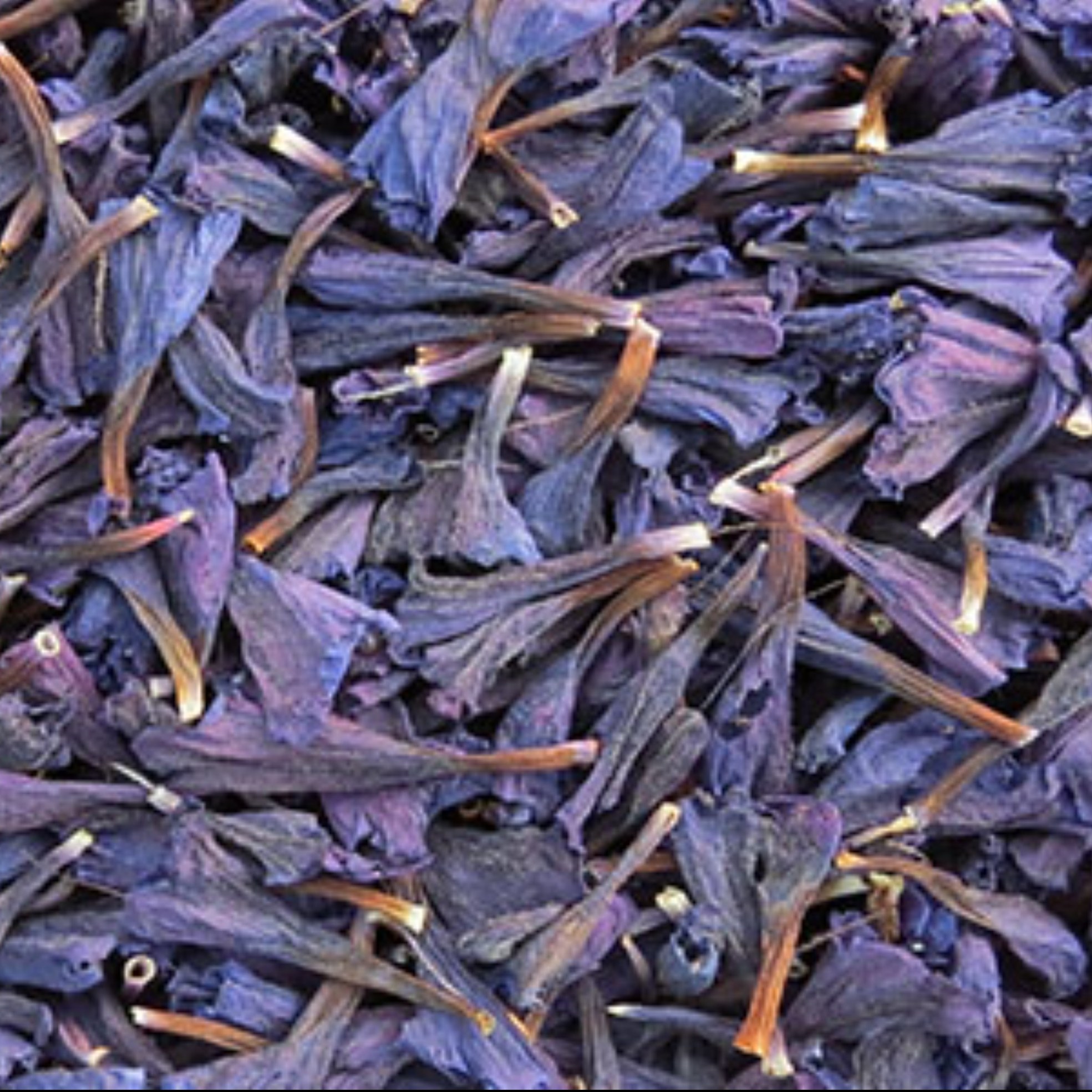 گل گاوزبان 30 گرمی