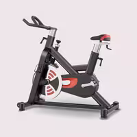 دوچرخه اسپنینگ برایت وی BRTW مدل XB07