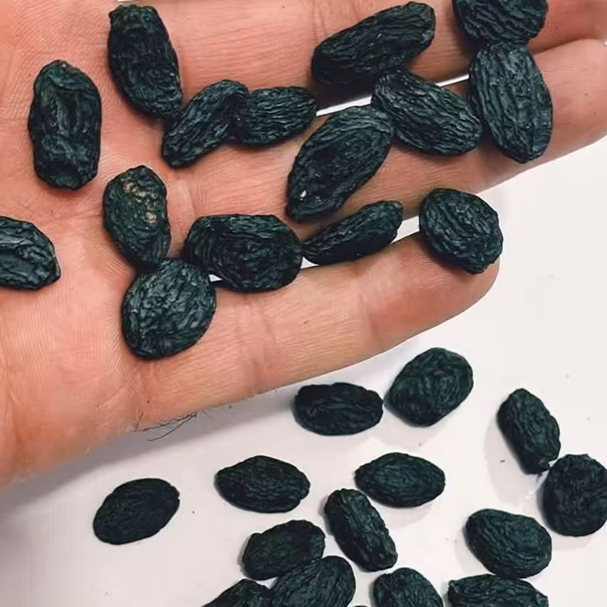 مویز لوکس بی هسته گوشتی بار امسال 