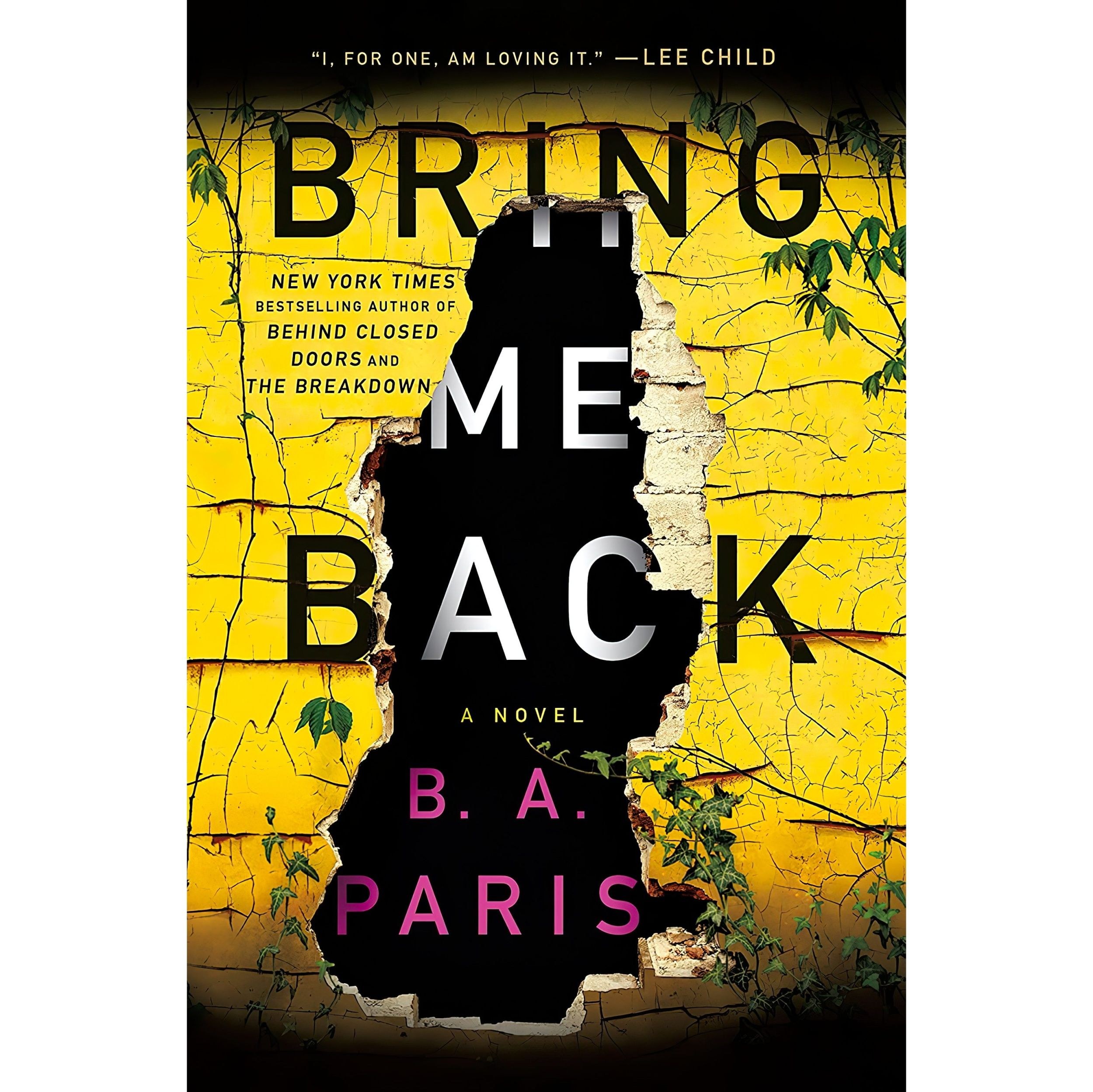 کتاب زبان اصلی Bring Me Back اثر B A Paris انتشارات St Martins Press