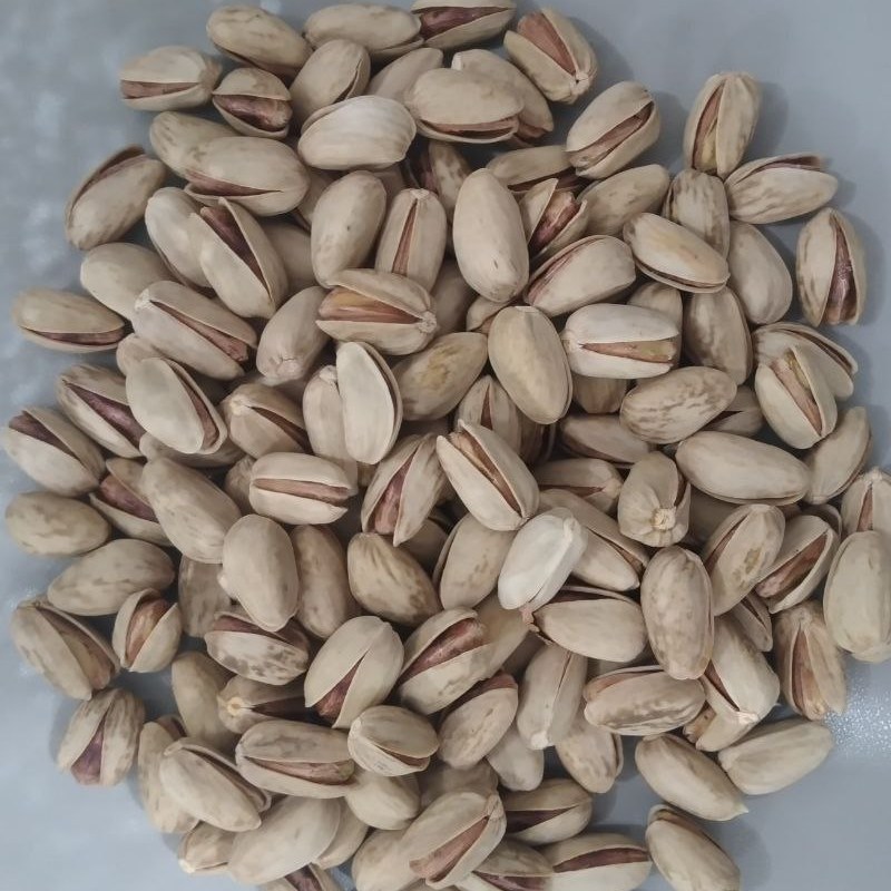 پسته اکبری