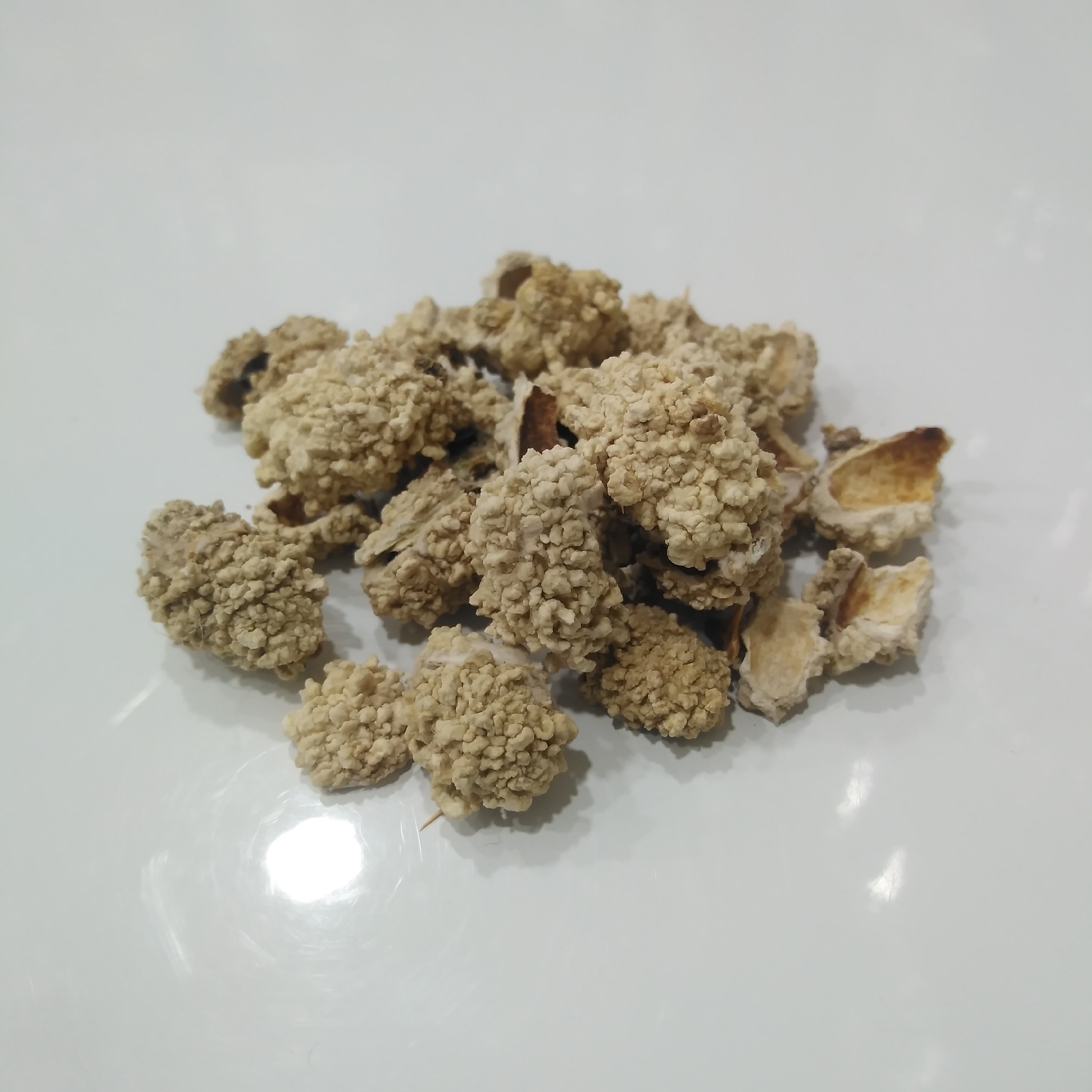شکر تیغال