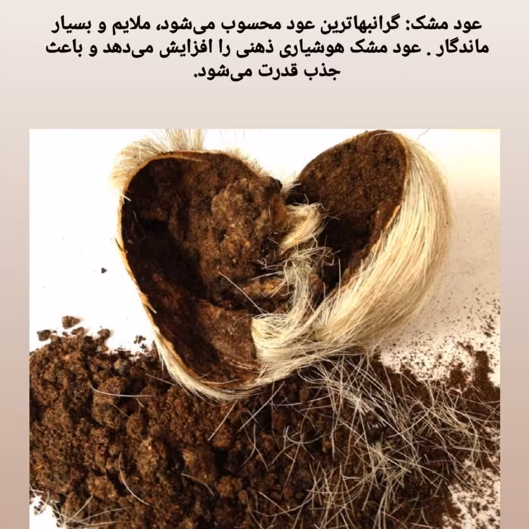 عود دست ساز  مشک