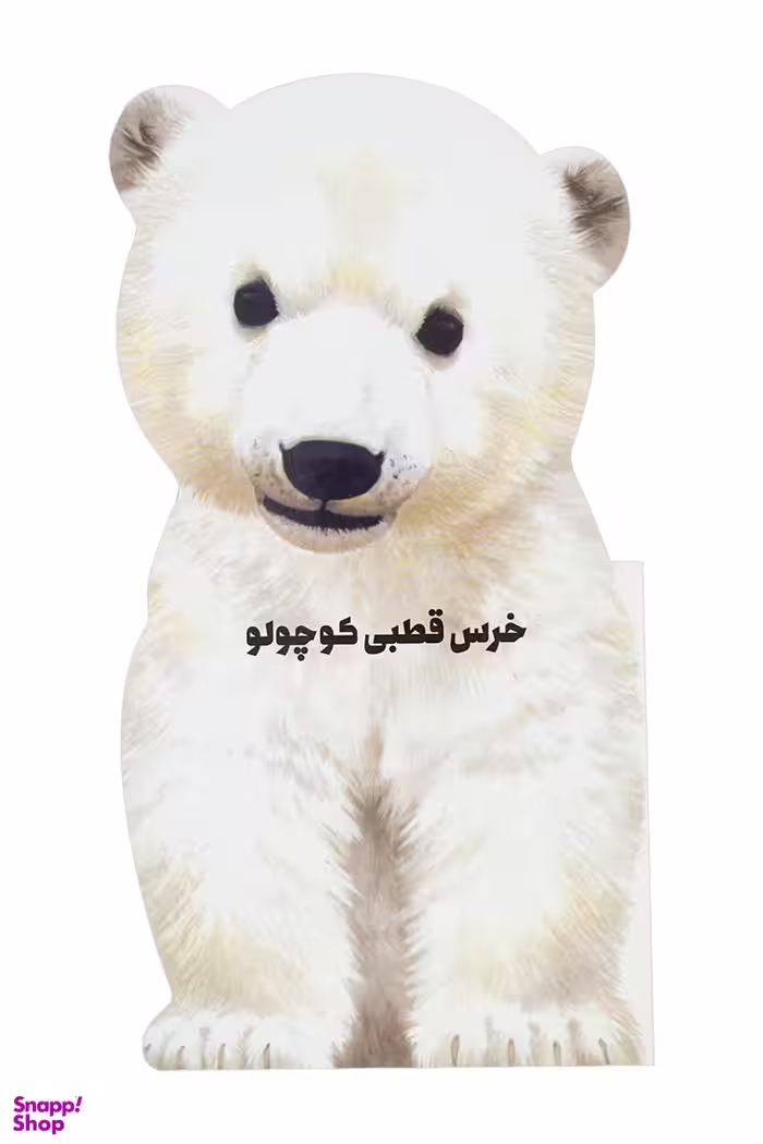 کتاب داستان زندگی خرس‌ قطبی‌ کوچولو اثر جیووانی کاویزل انتشارات زنبور