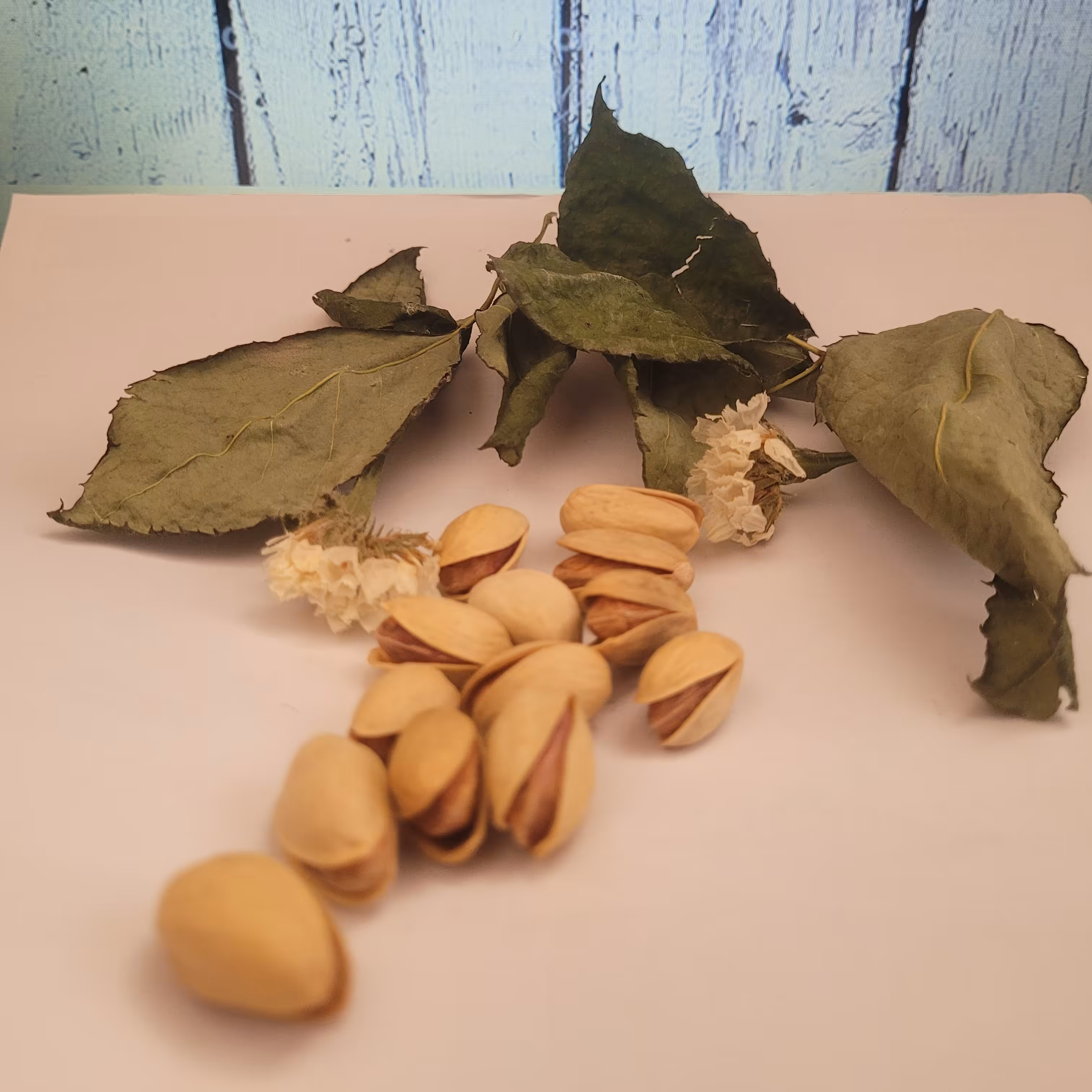 پسته تازه امسالی کیفیت عالی رفسنجان نیم(500 گرمی) صادراتی 