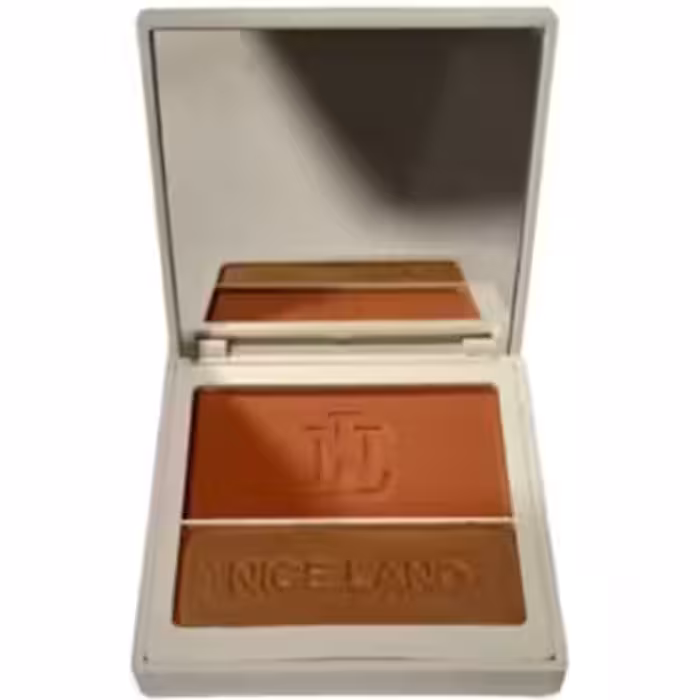 رژ گونه هایلایتر نایس لند شماره 404 | nanashopp