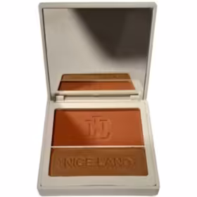 رژ گونه هایلایتر نایس لند شماره 404 | nanashopp