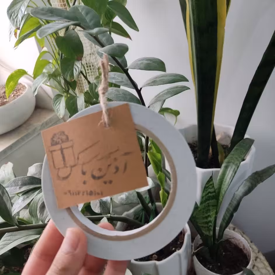 چسب دوطرفه شفاف بی رنگ