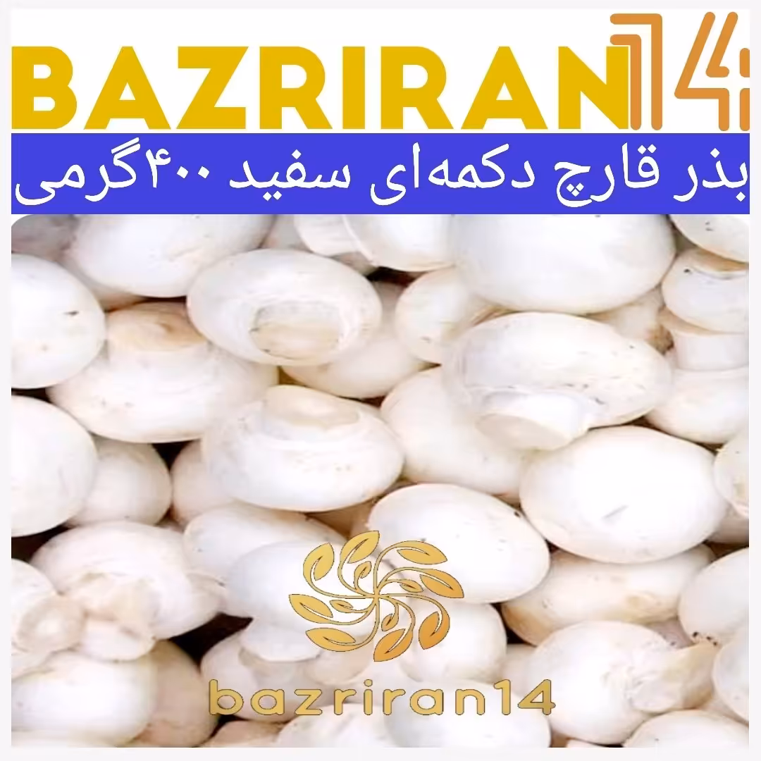 بذر قارچ دکمه ای سفید بسته 400گرمی