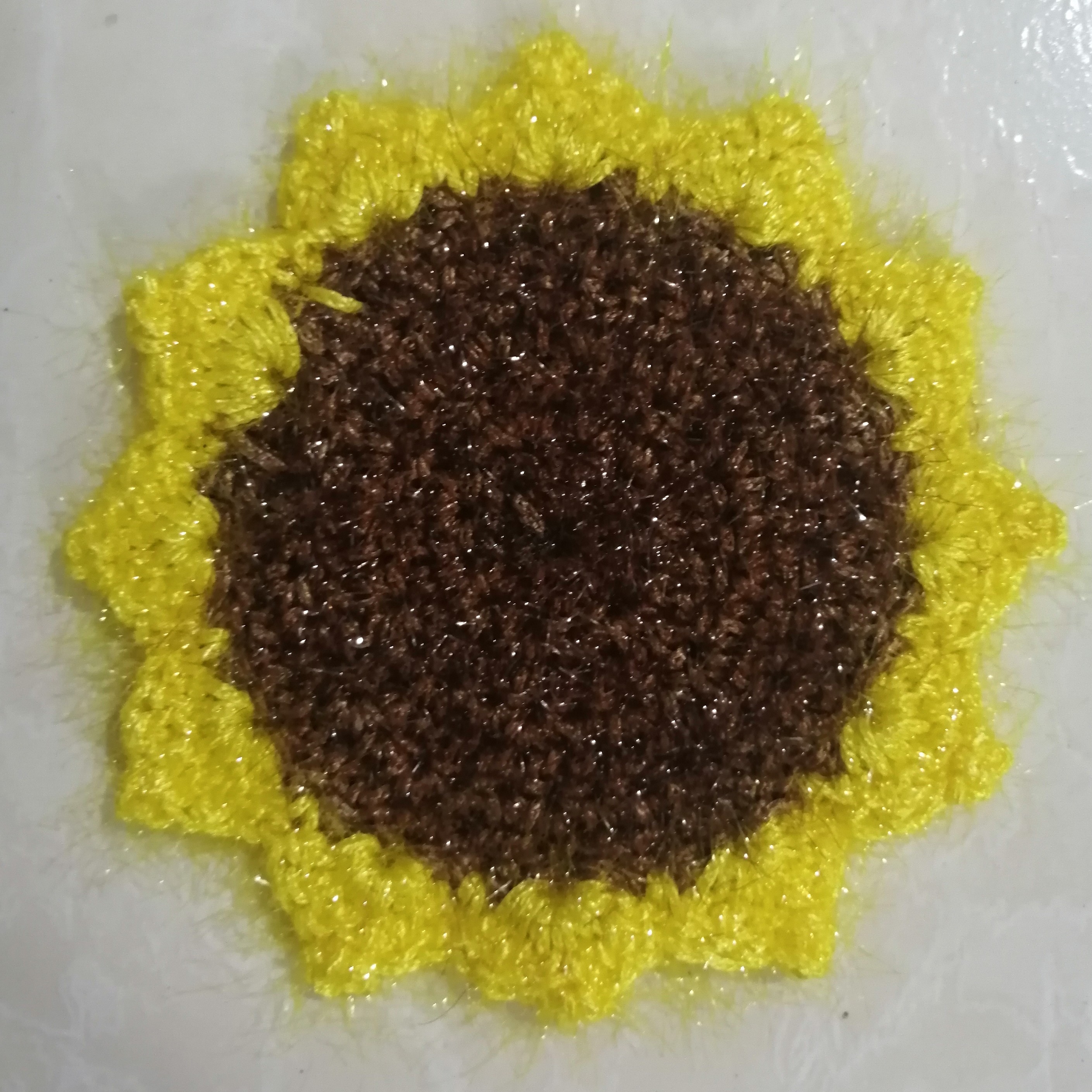 اسکاج آفتابگردان