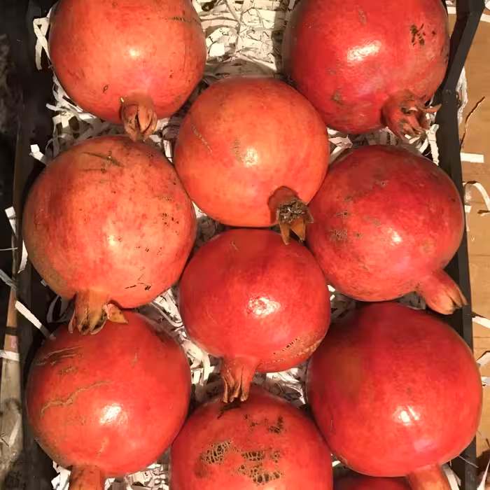 رب انار خانگی (یک کیلویی)