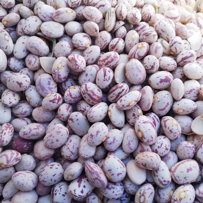 لوبیا چیتی اعلا 2000 گرمی درشت و اعلا (ارسال رایگان)