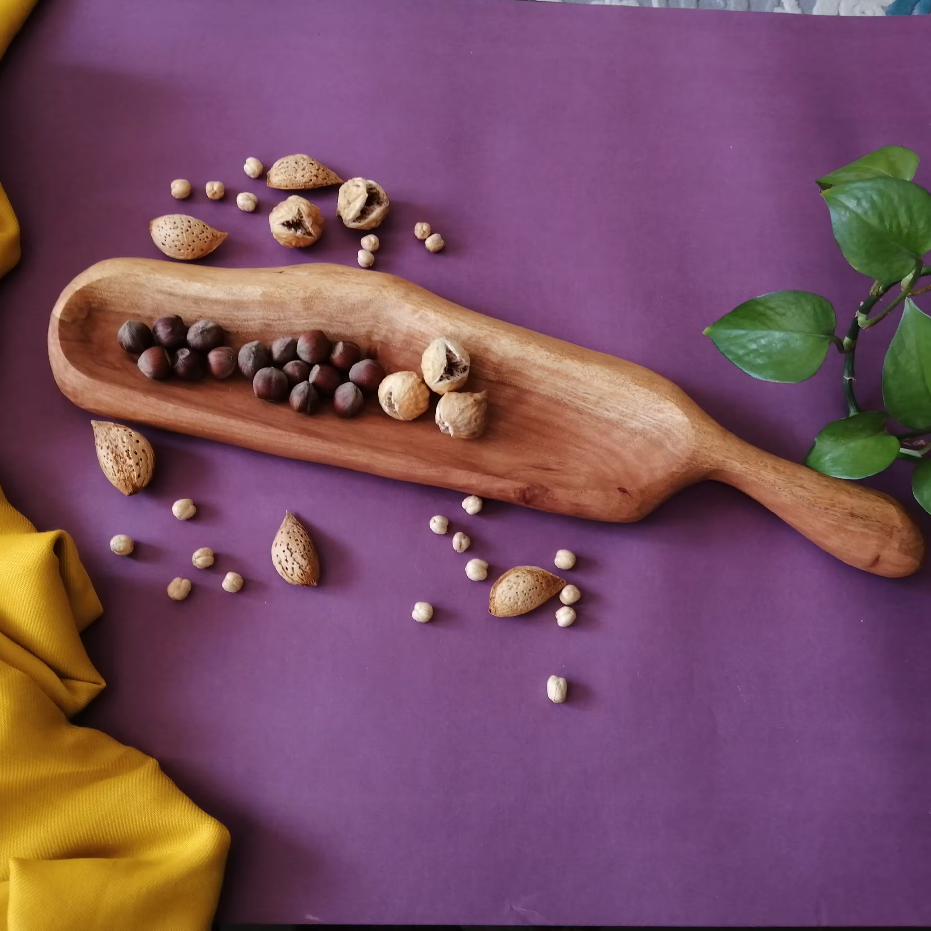 ظرف بیسکویت خوری چوب اکالیپتوس 