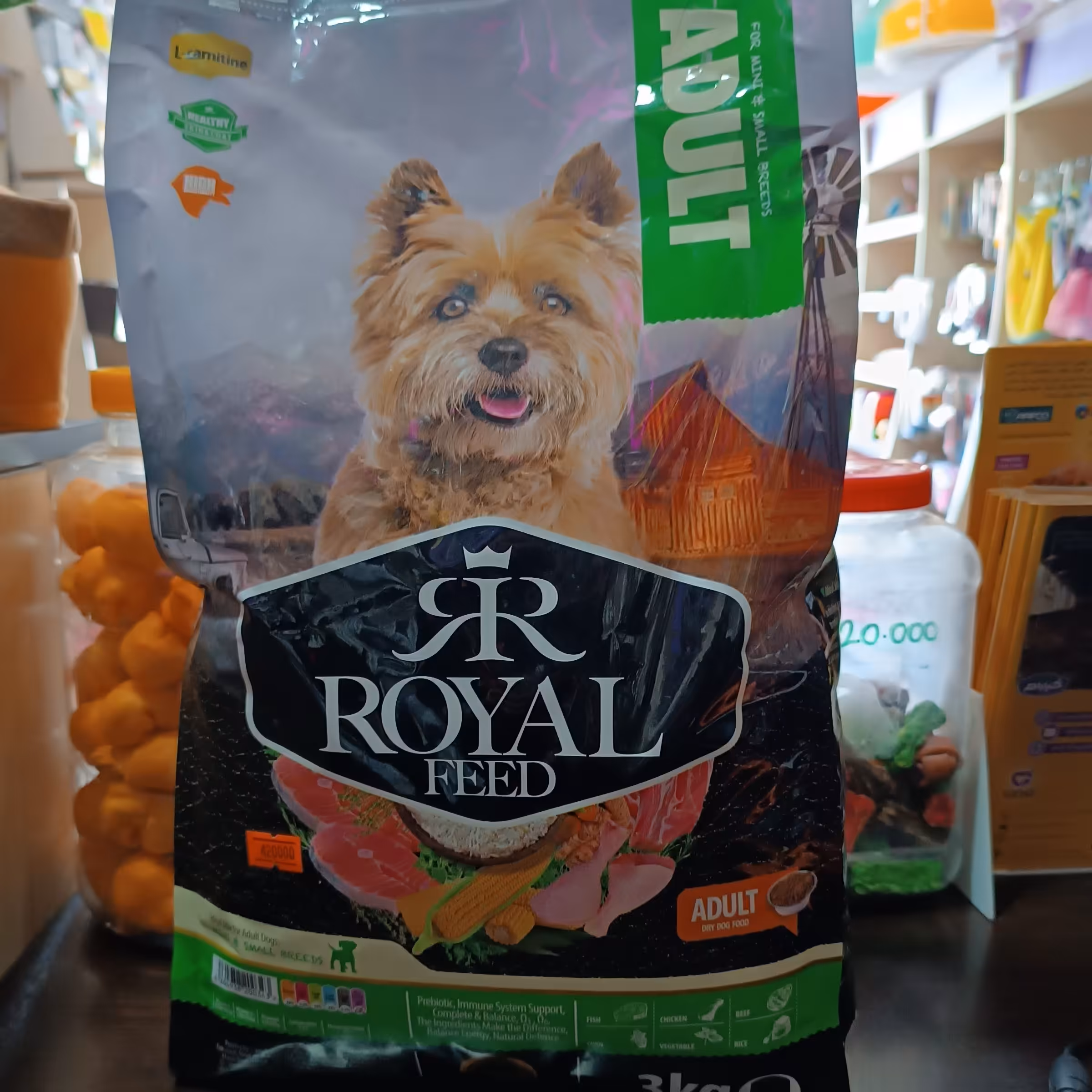 غذا خشک سگ بالغ نژاد کوچک رویال فید